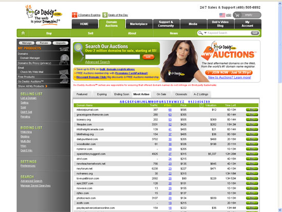 GoDaddy Expiring Domain Auctions